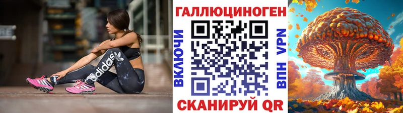 Псилоцибиновые грибы Psilocybe  Купить где  Новочеркасск 